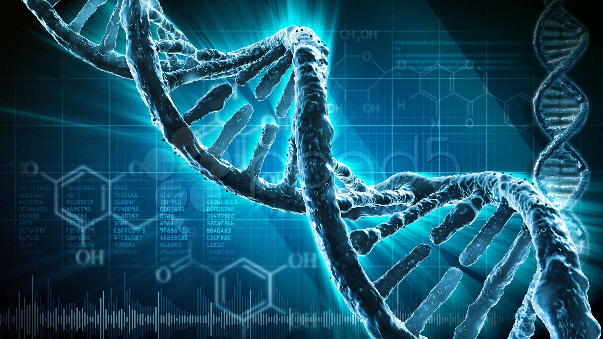 Scientists Create First Living Organism That Transmits Added Letters In DNA alphabet 