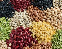 Report Finds Growth Potential For EU Plant Proteins