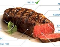 Irish Genetics Company Wins €1.8 Million ‘Beyond Food Labelling’ R&D Grant